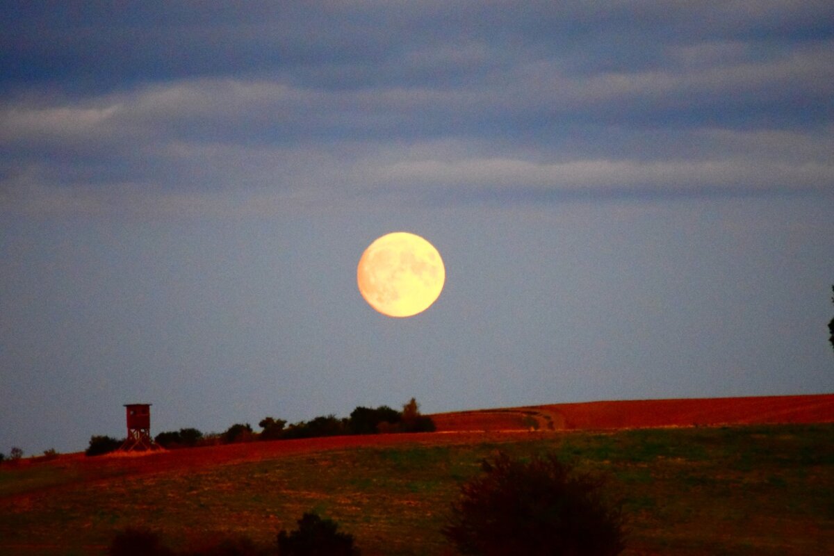 November’s Mystical Beaver Moon